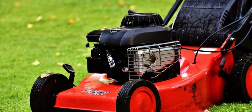 Gräsklippning Kungsbacka: så får du en starkare och vackrare gräsmatta